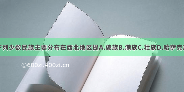 下列少数民族主要分布在西北地区提A.傣族B.满族C.壮族D.哈萨克族