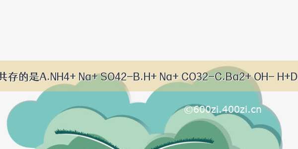 下列各组离子能大量共存的是A.NH4+ Na+ SO42-B.H+ Na+ CO32-C.Ba2+ OH- H+D.Cu2+ NO3- OH-