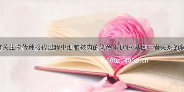 单选题下列有关生物传种接代过程中细胞核内的染色体 DNA 基因三者关系的叙述 错误的是