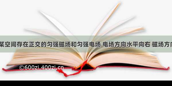 如图所示 某空间存在正交的匀强磁场和匀强电场 电场方向水平向右 磁场方向垂直纸面