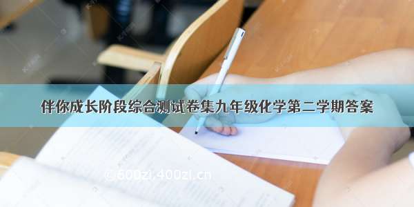 伴你成长阶段综合测试卷集九年级化学第二学期答案