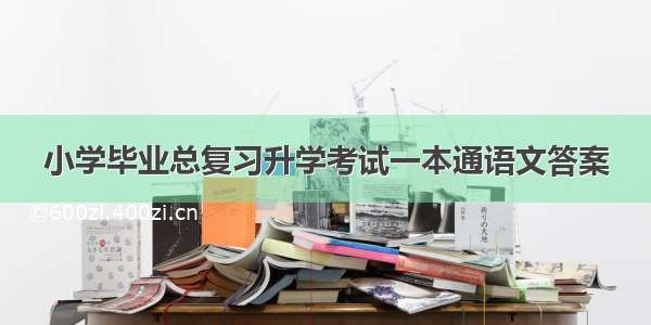 小学毕业总复习升学考试一本通语文答案