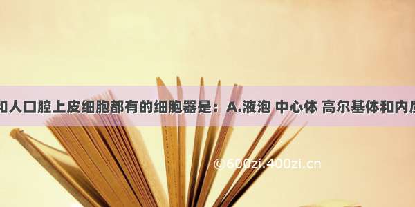 单选题小麦和人口腔上皮细胞都有的细胞器是：A.液泡 中心体 高尔基体和内质网B.内质网