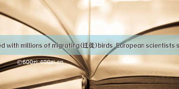 As skies are filled with millions of migrating(迁徙)birds  European scientists say the seas