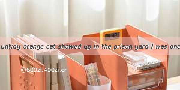 When a dirty and untidy orange cat showed up in the prison yard I was one of the first to