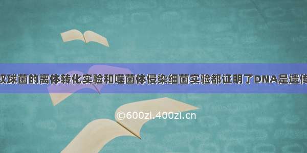 单选题肺炎双球菌的离体转化实验和噬菌体侵染细菌实验都证明了DNA是遗传物质 这两个