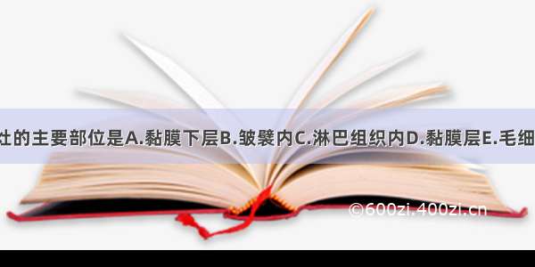 ()肠伤寒坏死灶的主要部位是A.黏膜下层B.皱襞内C.淋巴组织内D.黏膜层E.毛细血管内ABCDE