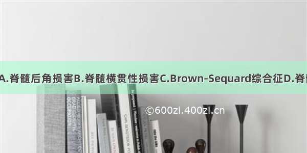 该脊髓损害为A.脊髓后角损害B.脊髓横贯性损害C.Brown-Sequard综合征D.脊髓神经根损害E