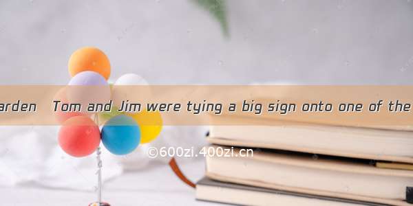 I walked in our garden   Tom and Jim were tying a big sign onto one of the trees.A. which