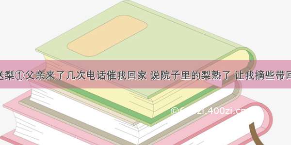 父亲进城送梨①父亲来了几次电话催我回家 说院子里的梨熟了 让我摘些带回城里吃 说