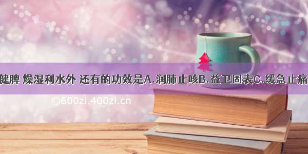 白术除益气健脾 燥湿利水外 还有的功效是A.润肺止咳B.益卫固表C.缓急止痛D.止汗安胎