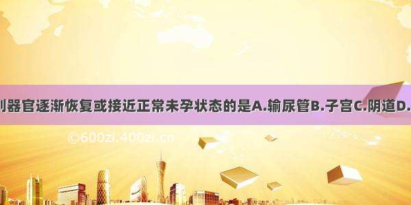 产褥期 下列器官逐渐恢复或接近正常未孕状态的是A.输尿管B.子宫C.阴道D.乳房E.外阴