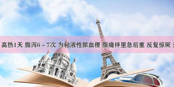 5岁男孩 高热1天 腹泻6～7次 为粘液性脓血便 腹痛伴里急后重 反复惊厥 逐渐出现