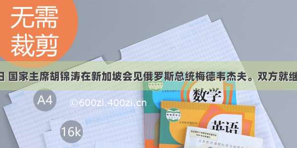 11月14日 国家主席胡锦涛在新加坡会见俄罗斯总统梅德韦杰夫。双方就继续推进中