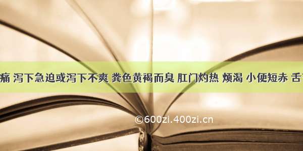 泄泻腹痛 泻下急迫或泻下不爽 粪色黄褐而臭 肛门灼热 烦渴 小便短赤 舌苔黄腻 