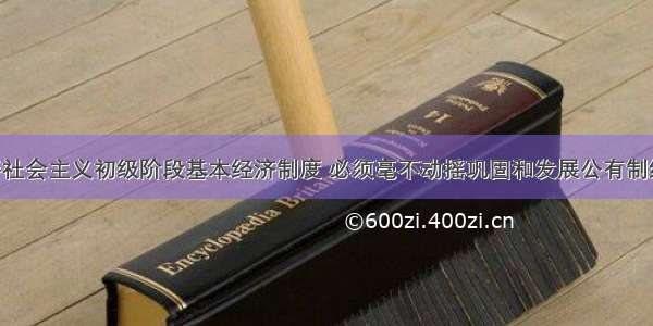 坚持和完善社会主义初级阶段基本经济制度 必须毫不动摇巩固和发展公有制经济 必须毫