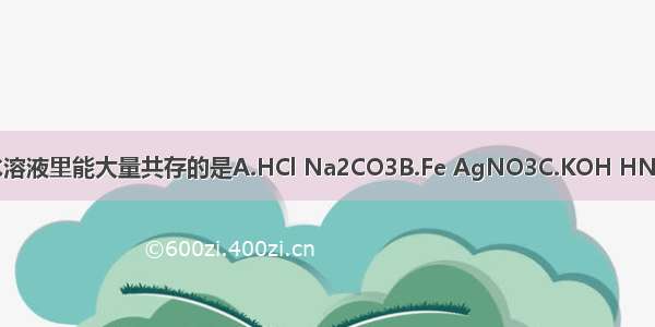 下列各组物质中 在水溶液里能大量共存的是A.HCl Na2CO3B.Fe AgNO3C.KOH HNO3D.KNO3 H2SO4