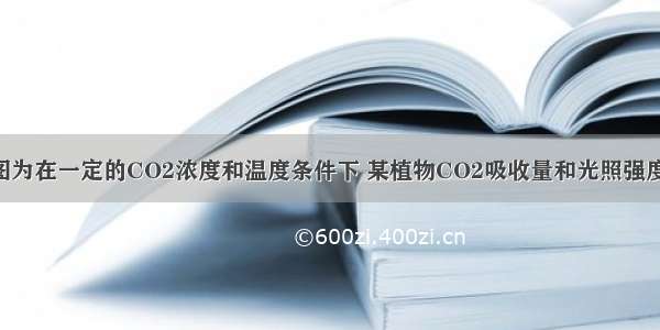 （8分）下图为在一定的CO2浓度和温度条件下 某植物CO2吸收量和光照强度的关系曲线 