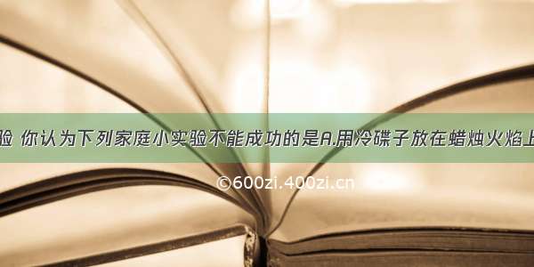 根据实践经验 你认为下列家庭小实验不能成功的是A.用冷碟子放在蜡烛火焰上方制取炭黑