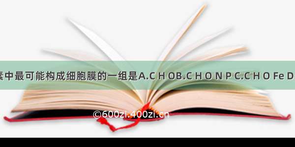 下列元素中最可能构成细胞膜的一组是A.C H OB.C H O N P C.C H O Fe D.C H O N