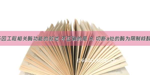 依图有关基因工程相关酶功能的叙述 不正确的是 A. 切断a处的酶为限制核酸性内切酶B