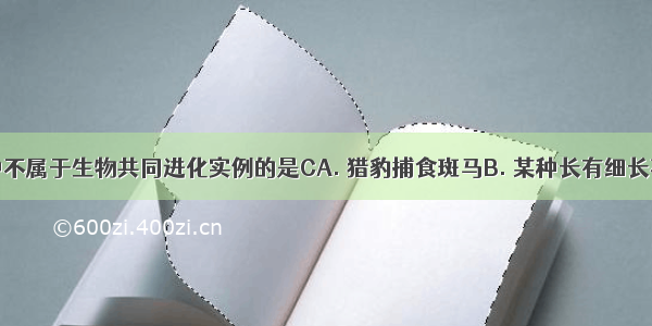 下列各项中不属于生物共同进化实例的是CA. 猎豹捕食斑马B. 某种长有细长花矩的兰花