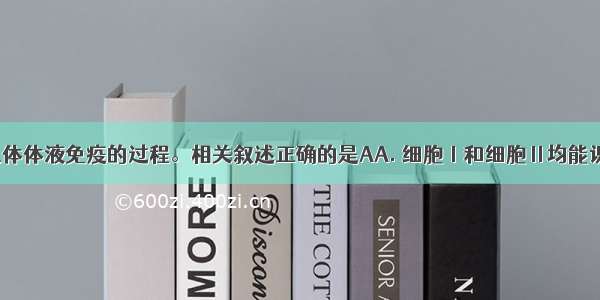 如图代表人体体液免疫的过程。相关叙述正确的是AA. 细胞Ⅰ和细胞Ⅱ均能识别抗原B. 