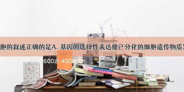 下列关于细胞的叙述正确的是A. 基因的选择性表达使已分化的细胞遗传物质发生改变B. 