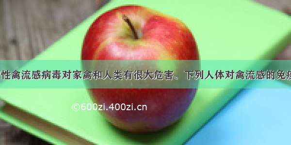 H5N1高致病性禽流感病毒对家禽和人类有很大危害。下列人体对禽流感的免疫调节中 属于