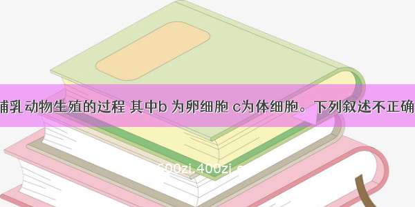 下图表示哺乳动物生殖的过程 其中b 为卵细胞 c为体细胞。下列叙述不正确的是A. 形