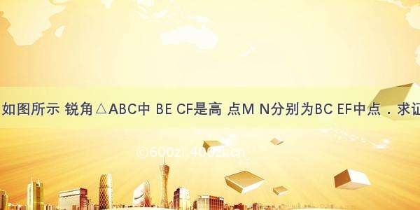 （经典题）如图所示 锐角△ABC中 BE CF是高 点M N分别为BC EF中点．求证：MN⊥EF．