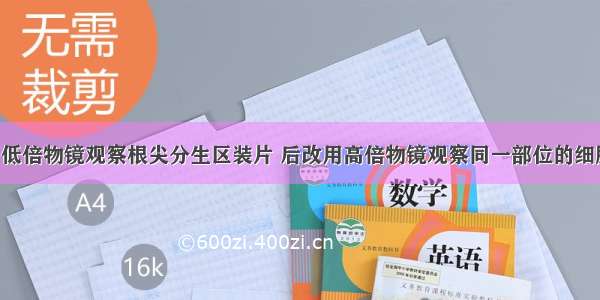 单选题先用低倍物镜观察根尖分生区装片 后改用高倍物镜观察同一部位的细胞 后者A.视