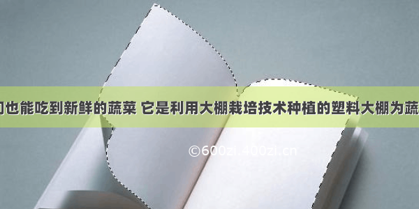 在冬季 我们也能吃到新鲜的蔬菜 它是利用大棚栽培技术种植的塑料大棚为蔬菜的生长提