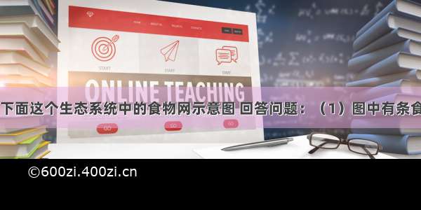 请仔细观察下面这个生态系统中的食物网示意图 回答问题：（1）图中有条食物链请写出