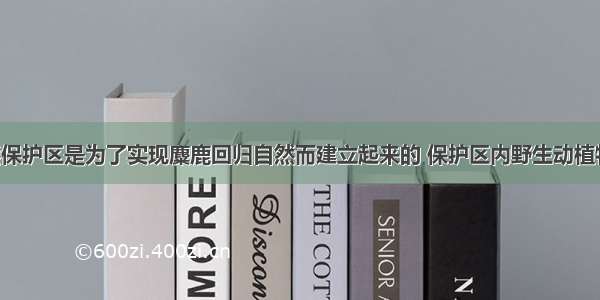 天鹅洲自然保护区是为了实现麋鹿回归自然而建立起来的 保护区内野生动植物资源丰富 