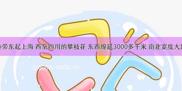 长江沿江地带东起上海 西至四川的攀枝花 东西绵延3000多千米 南北宽度大致在长江两