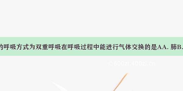 鸟类特有的呼吸方式为双重呼吸在呼吸过程中能进行气体交换的是AA. 肺B. 气囊C. 气