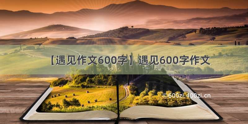 【遇见作文600字】遇见600字作文