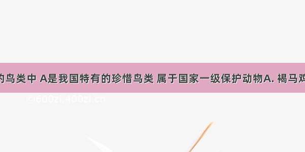 在繁多的鸟类中 A是我国特有的珍惜鸟类 属于国家一级保护动物　A. 褐马鸡B. 珍珠