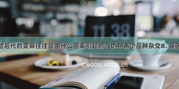 不能遗传给后代的变异往往是由什么因素引起的？DA. 两个品种杂交B. 基因变化C. 染