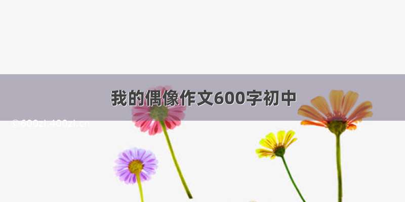 我的偶像作文600字初中