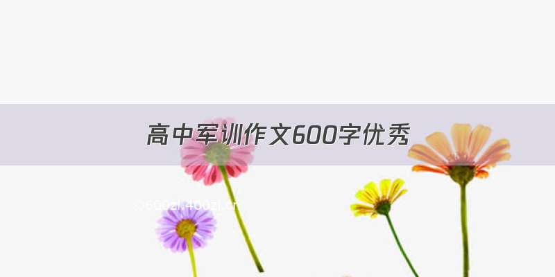 高中军训作文600字优秀