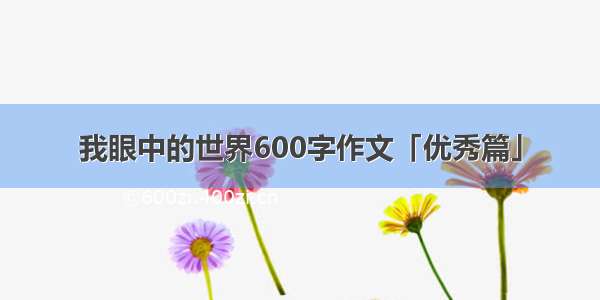 我眼中的世界600字作文「优秀篇」