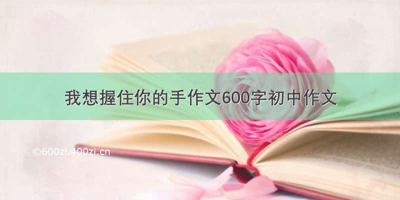 我想握住你的手作文600字初中作文