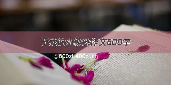 于我的小伙伴作文600字