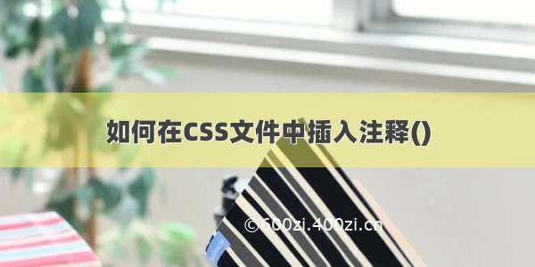 如何在CSS文件中插入注释()