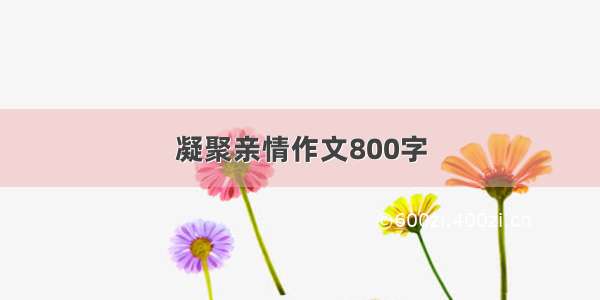 凝聚亲情作文800字