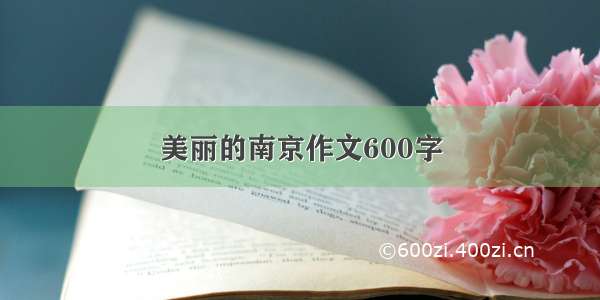 美丽的南京作文600字