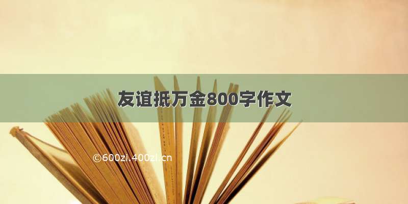 友谊抵万金800字作文