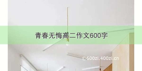 青春无悔高二作文600字